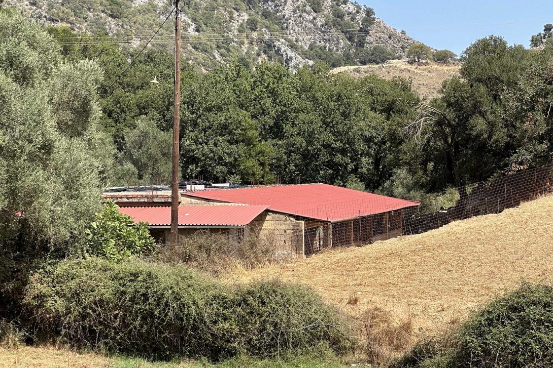 κτηνοτρόφος ρέθυμνο