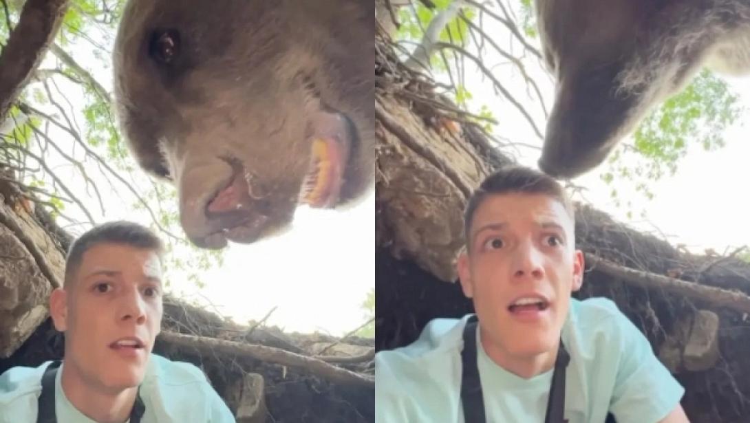 influencer αρκούδα