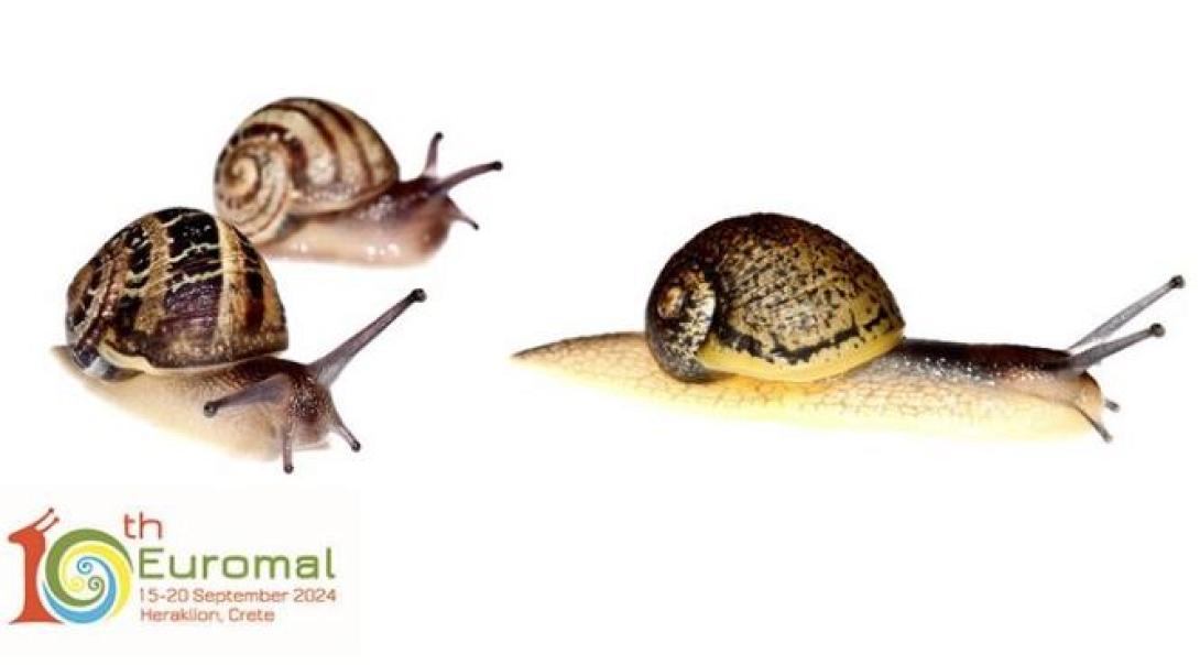 μαλακολογικο συνεδριο