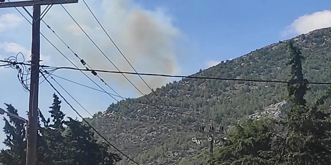 Νέα Μάκρη φωτια