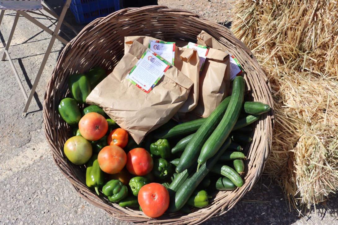 λαχανικά οροπεδιο