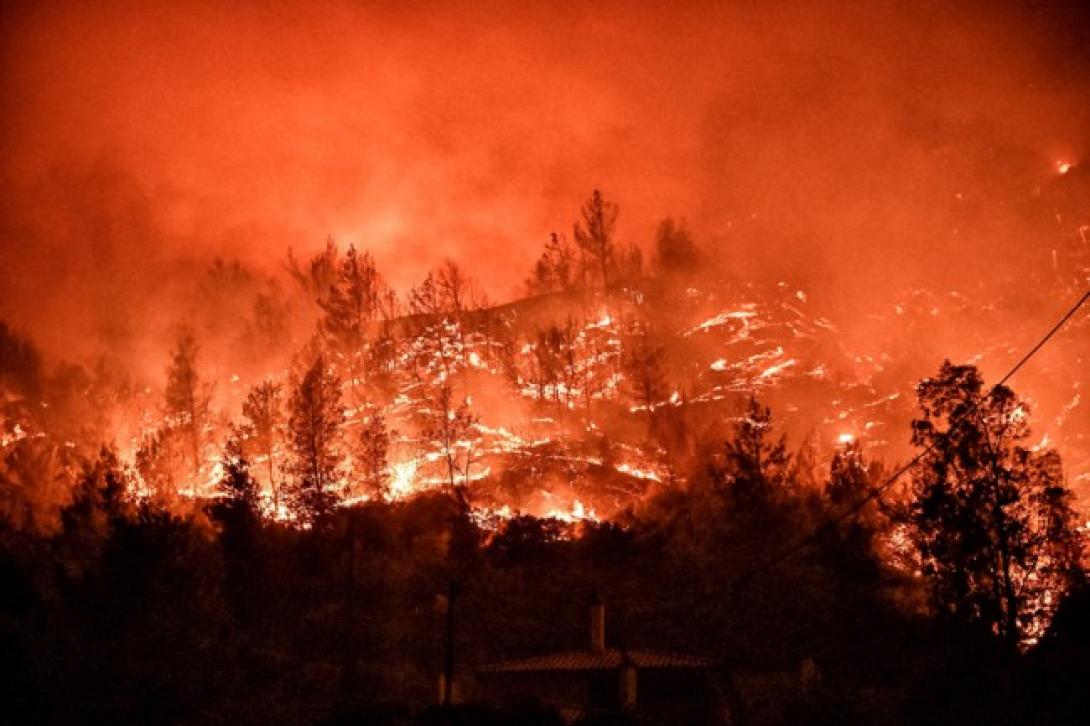 ξυλοκαστρο