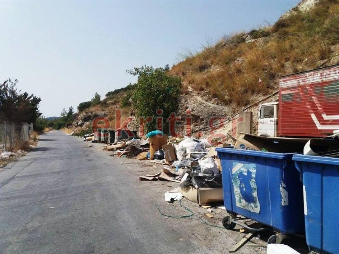 σκουπίδια φοινικιά 3