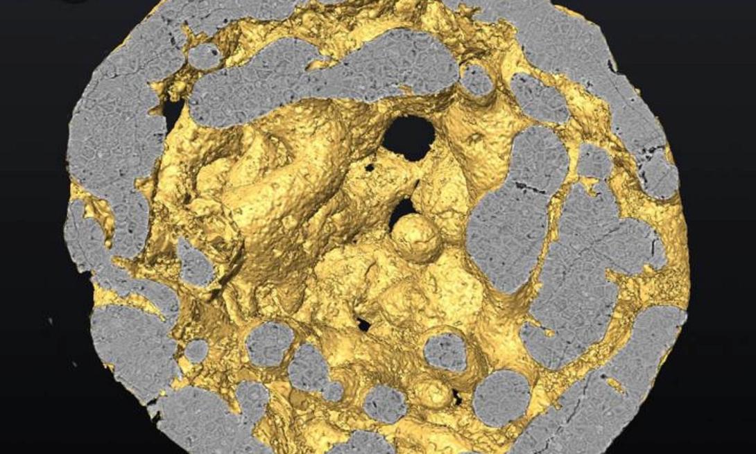 πρωτο έμβρυο.jpg