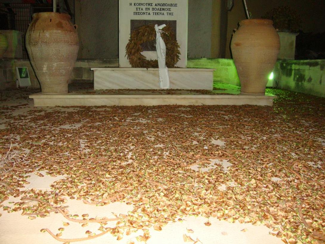 σκουπίδια ανώπολη 2