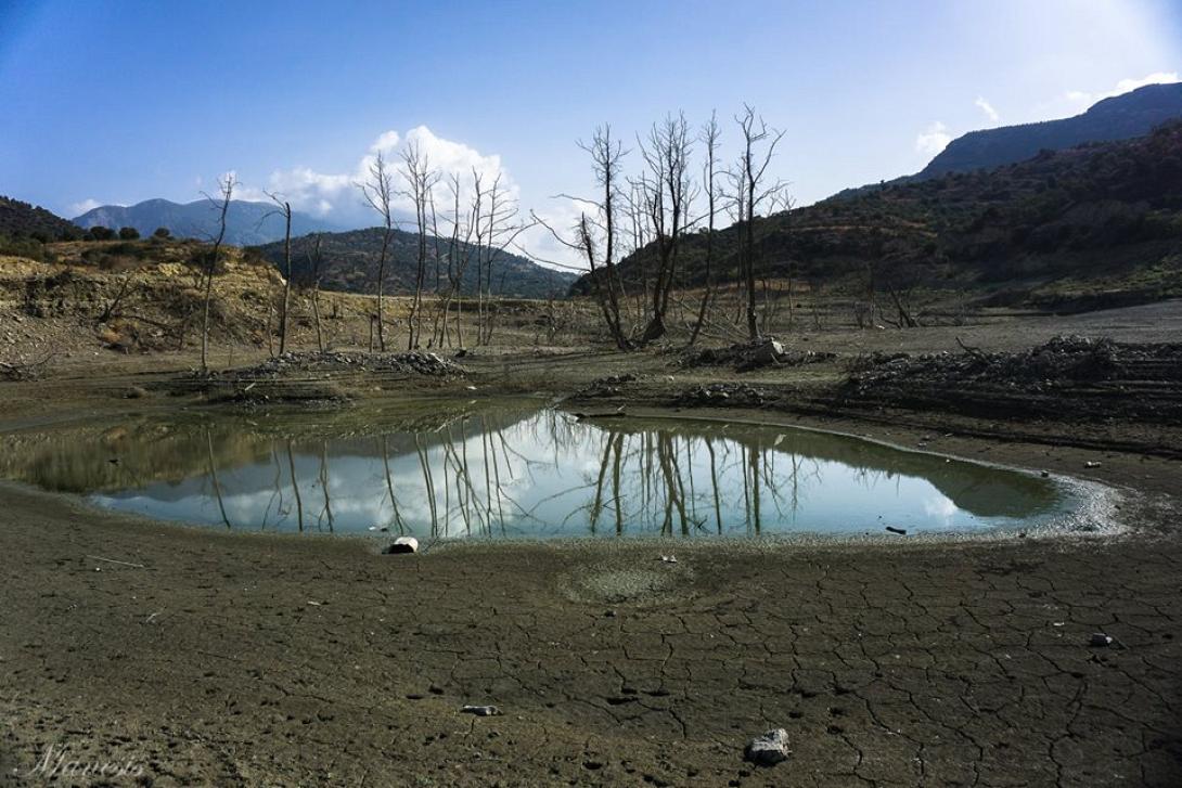 φράγμα φανερωμένης 