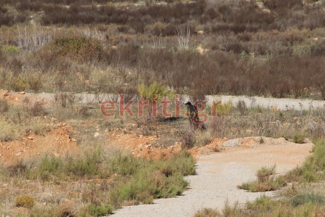 φραγμα αποσελεμη.jpg