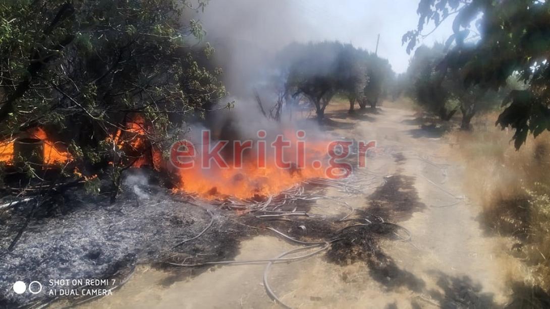 Μεγάλη ήταν η νικητοποίηση, για να μην επεκταθεί η πυρκαγιά.
