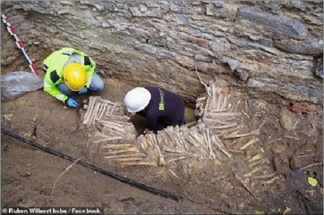 Τοίχος από ανθρώπινα οστά