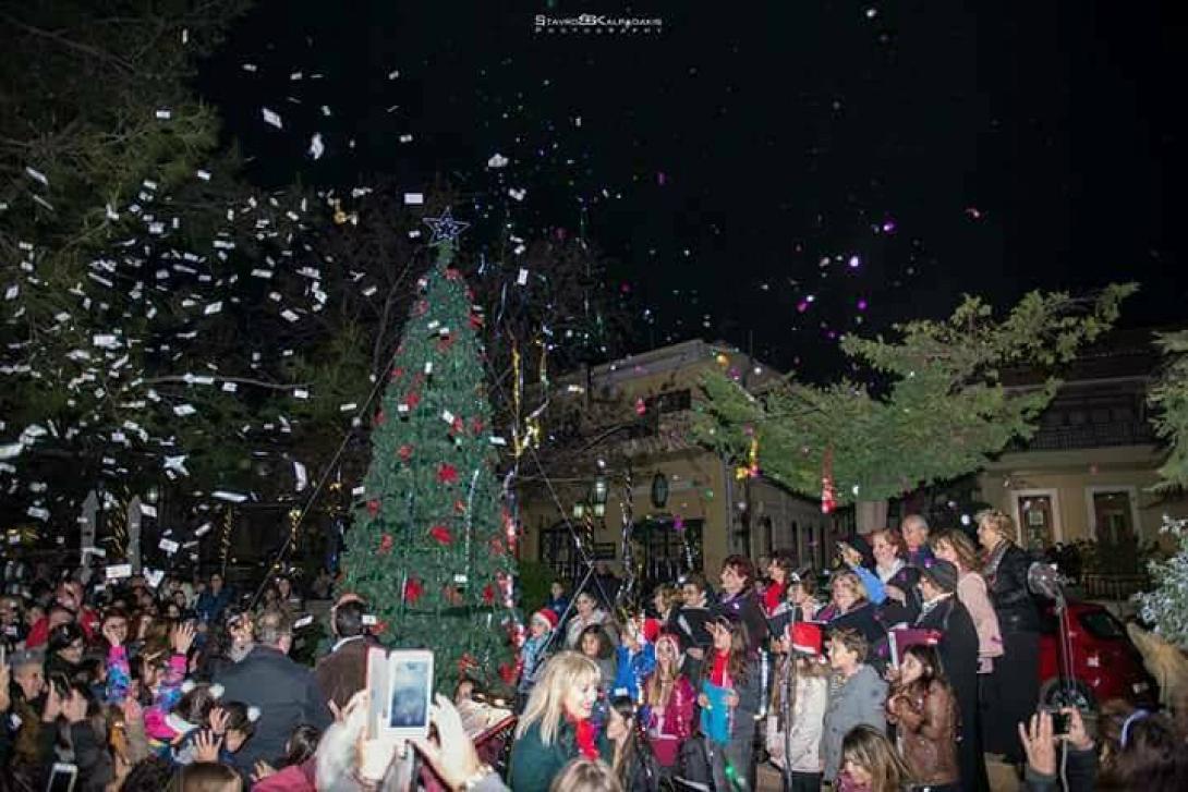 δέντρο αρχάνες