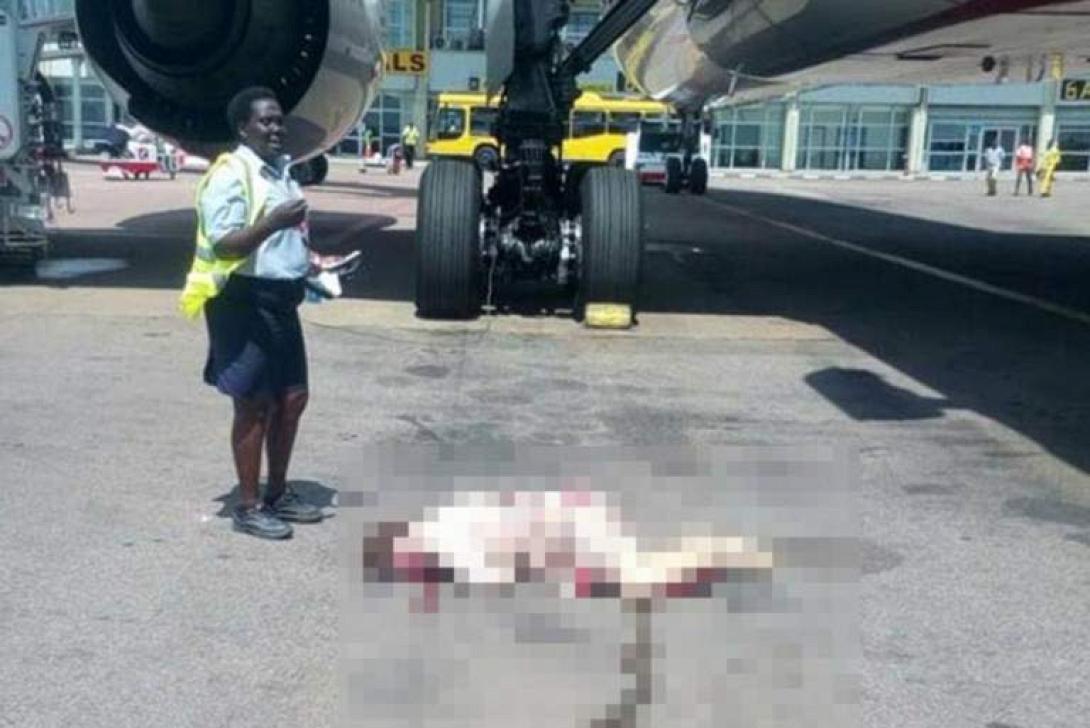 αεροσυνοδός ουγκάντα