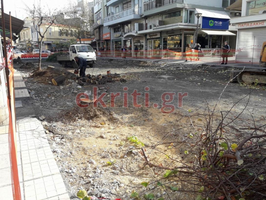 δεντρα αναπλαση.jpg