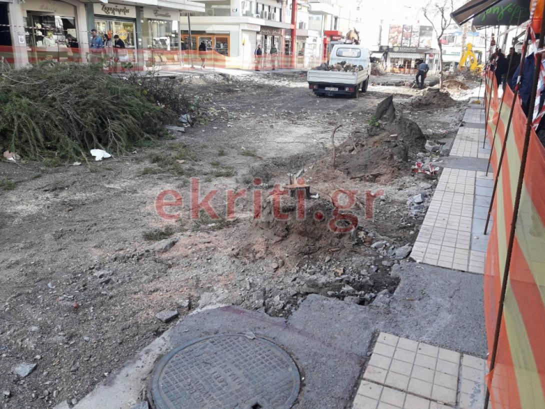 δεντρα αναπλαση.jpg