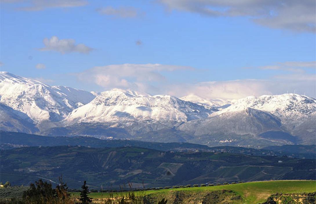 ψηλορείτης