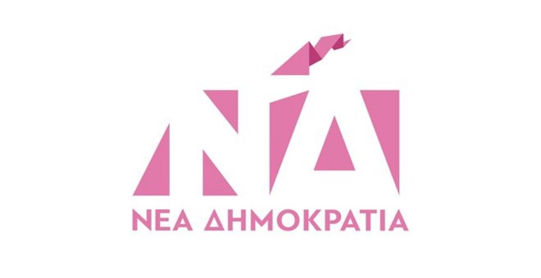 ΝΔ ΡΟΖ