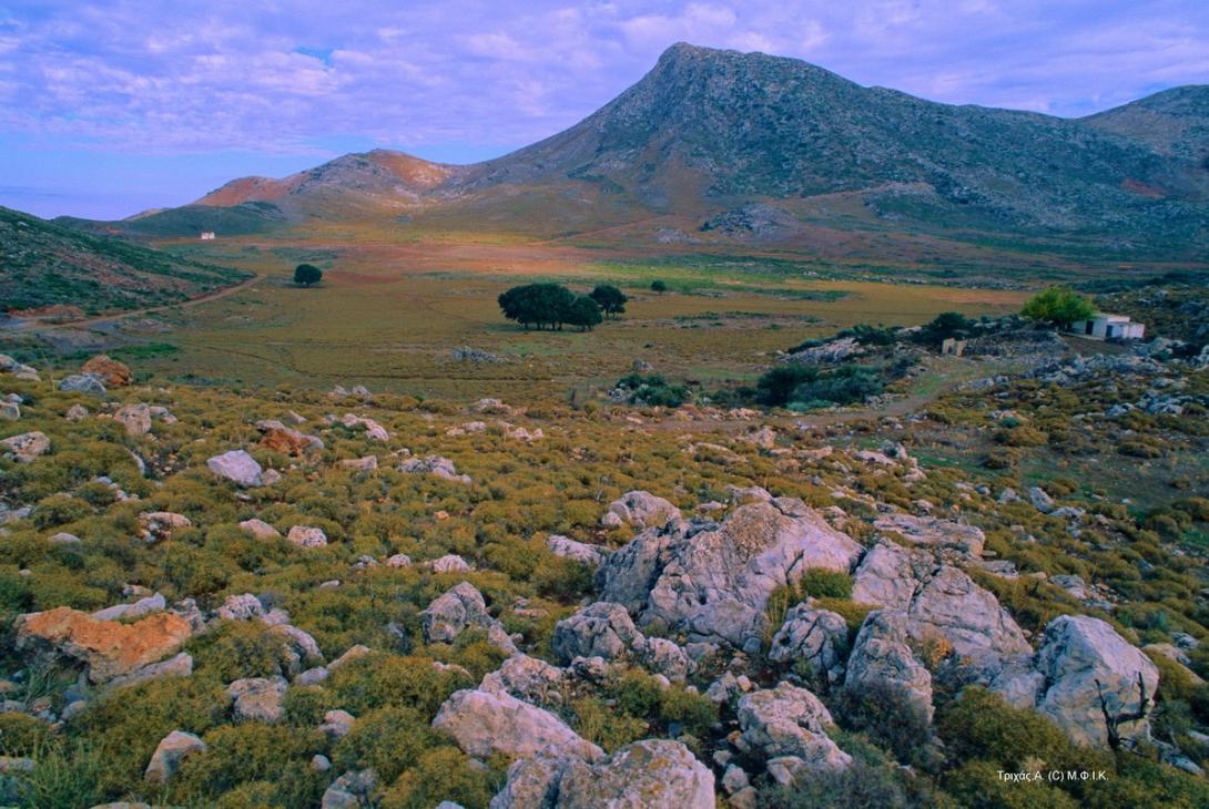 Στρούμπουλας