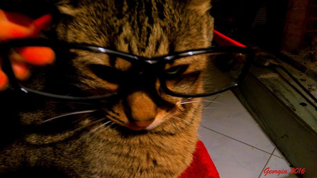 Ιβάν γατίδης