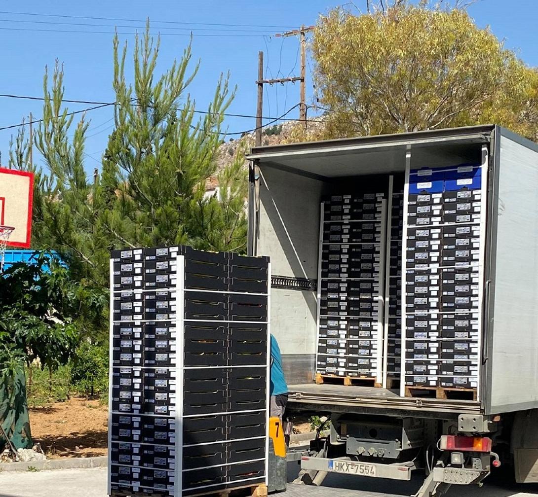 αγροτικα προιοντα