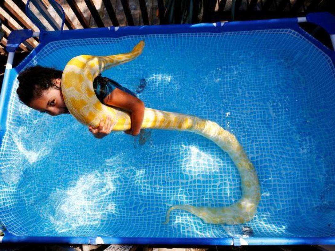 κορίτσι πύθωνας