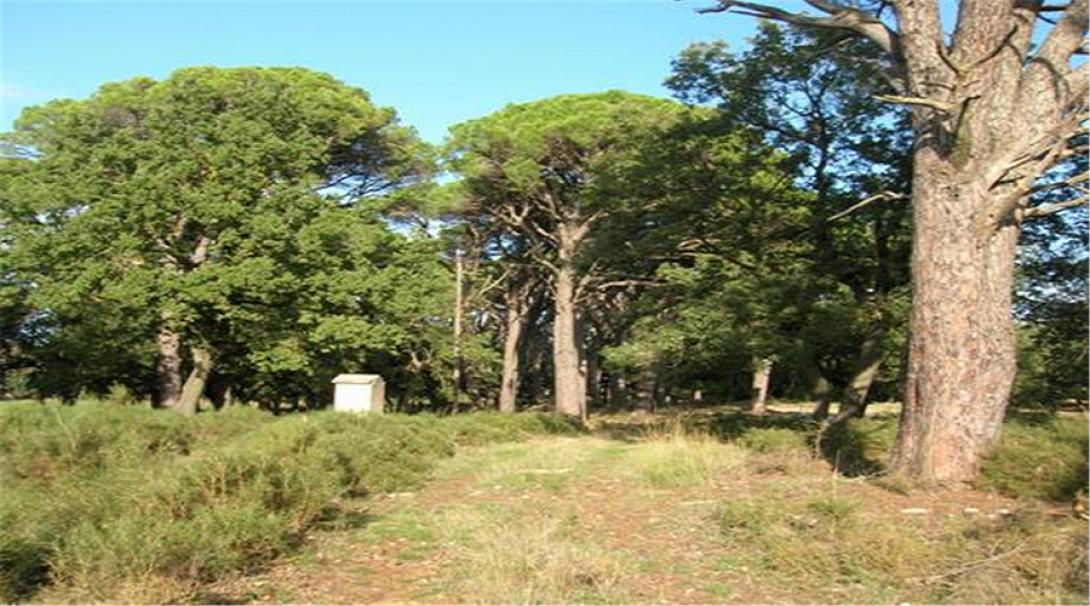 Φωτό αρχείου