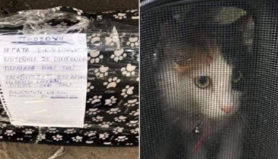 γατακι -σημειωμα