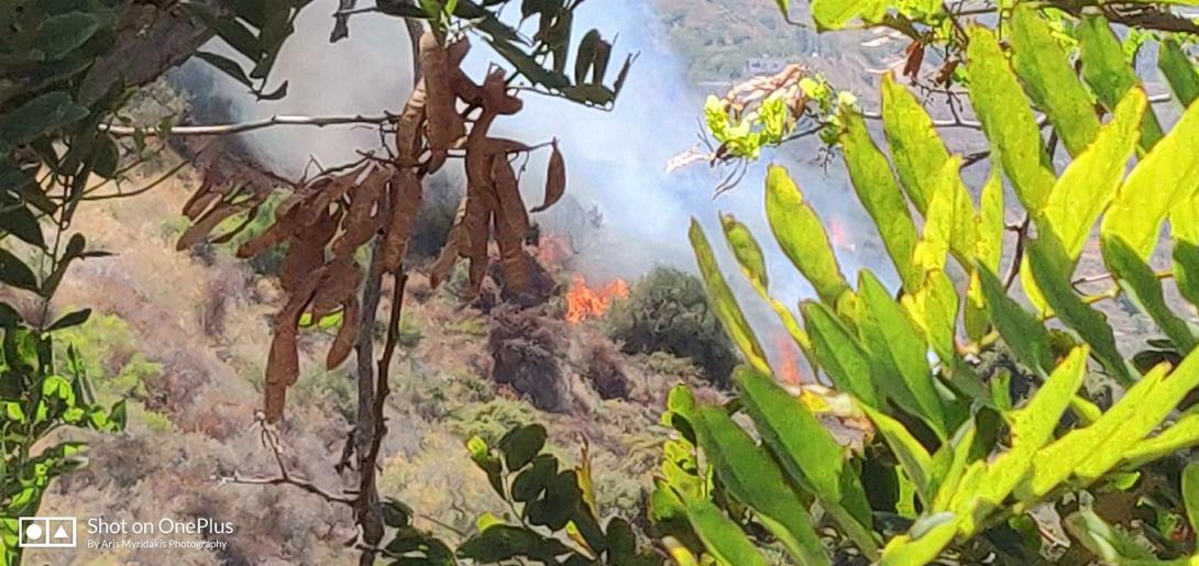 φωτια χανια.jpg