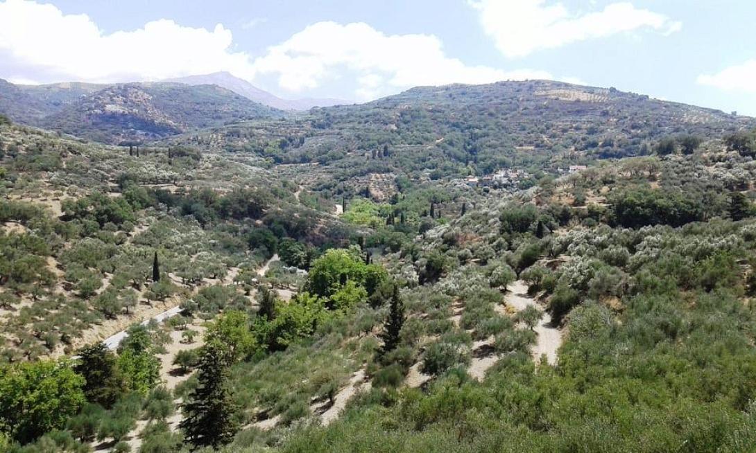 λεφεδ ηρακλειου πυροπροστασια.jpg