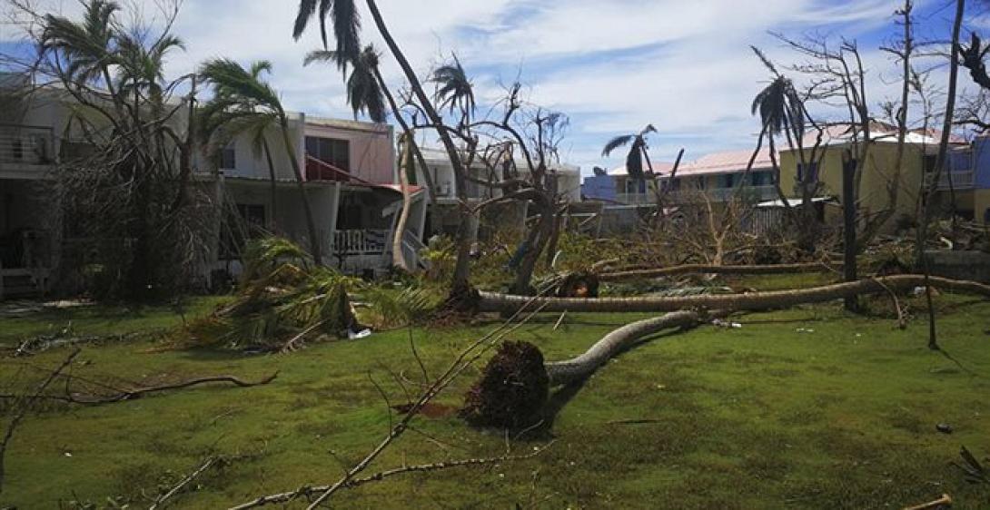 φλόριντα τυφώνας ίρμα