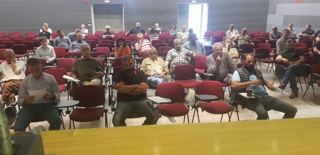 ΔΑΚΟΚΤΟΝΊΑ