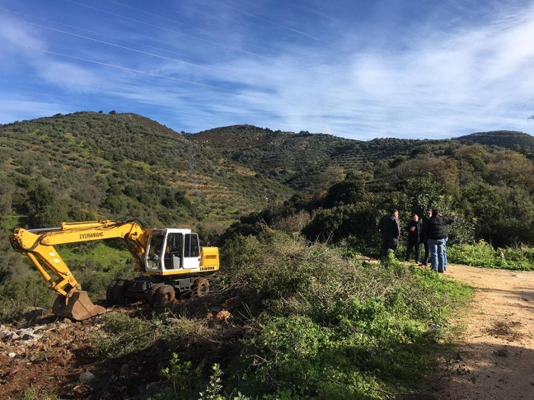 Βιολογικός Μαλεβίζι