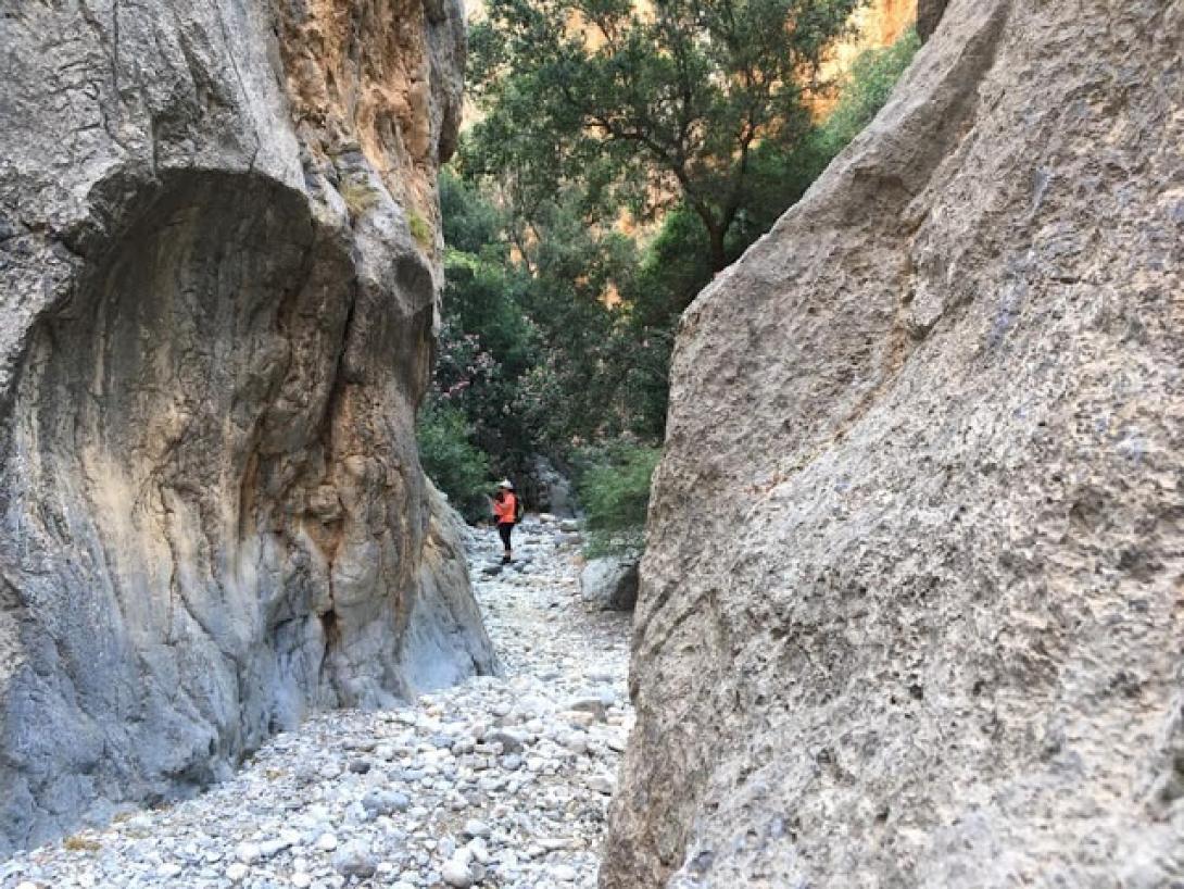 Πεζοπορία στο φαράγγι της Κριτσάς
