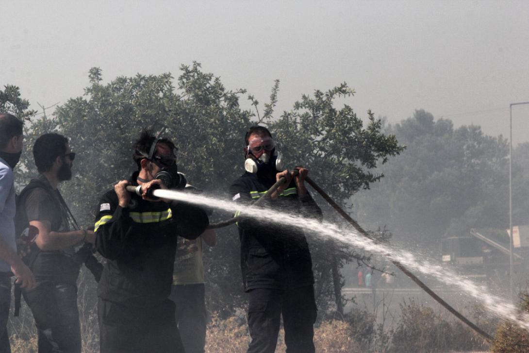 φωτιά μαλακάσα 6