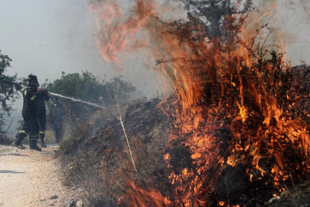 φωτιά μαλακάσα 1