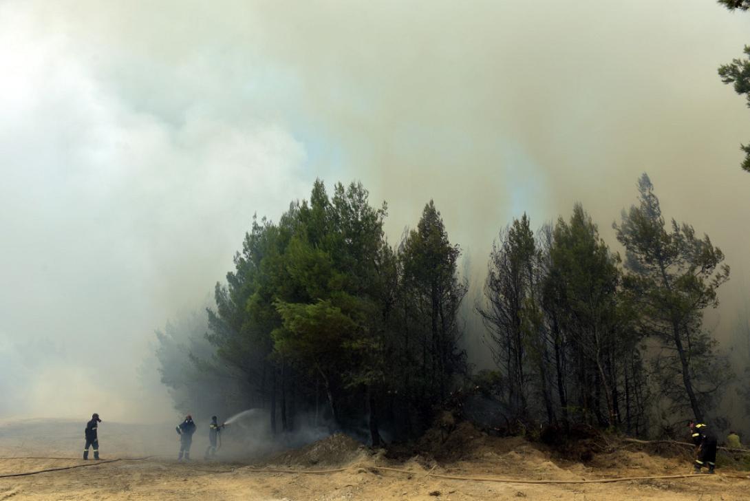 φωτιά μαλακάσα 5