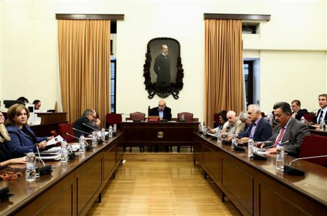 εσρ επιτροπη βουλη.jpg