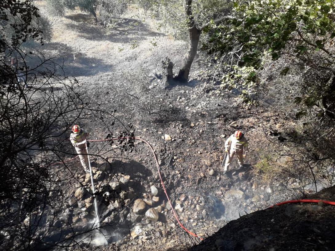 φωτια πυροσβεστες.jpg