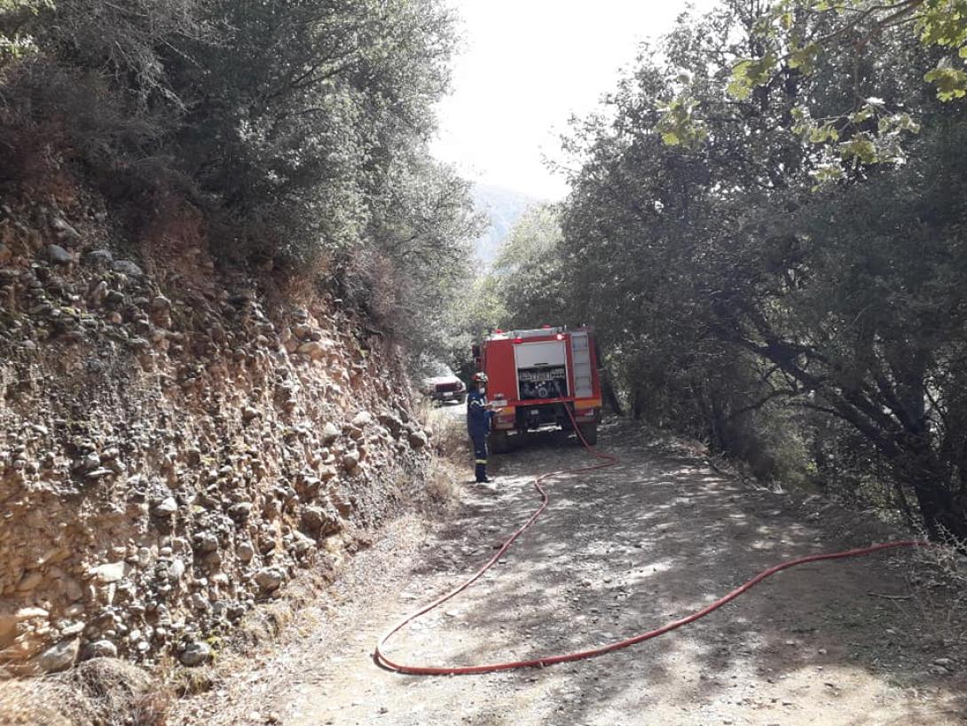 φωτια πυροσβεστικη.jpg