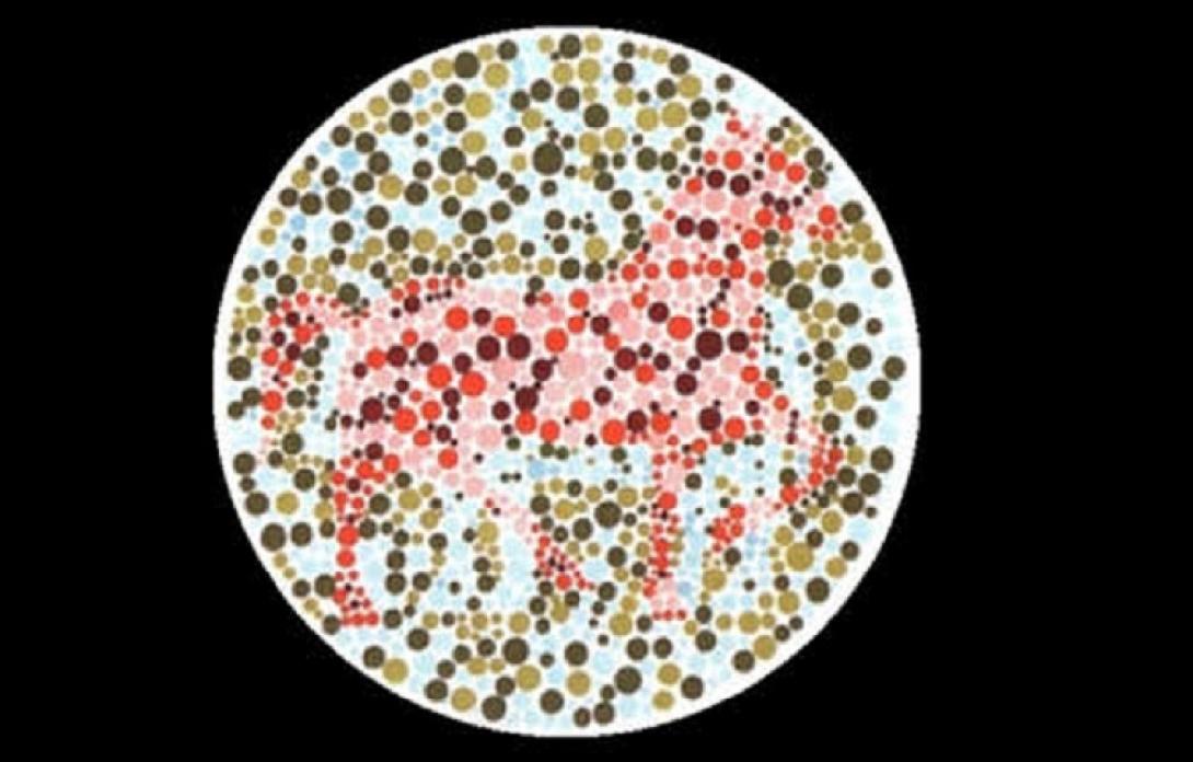 Ποιο ζώο βλέπετε στην εικόνα;