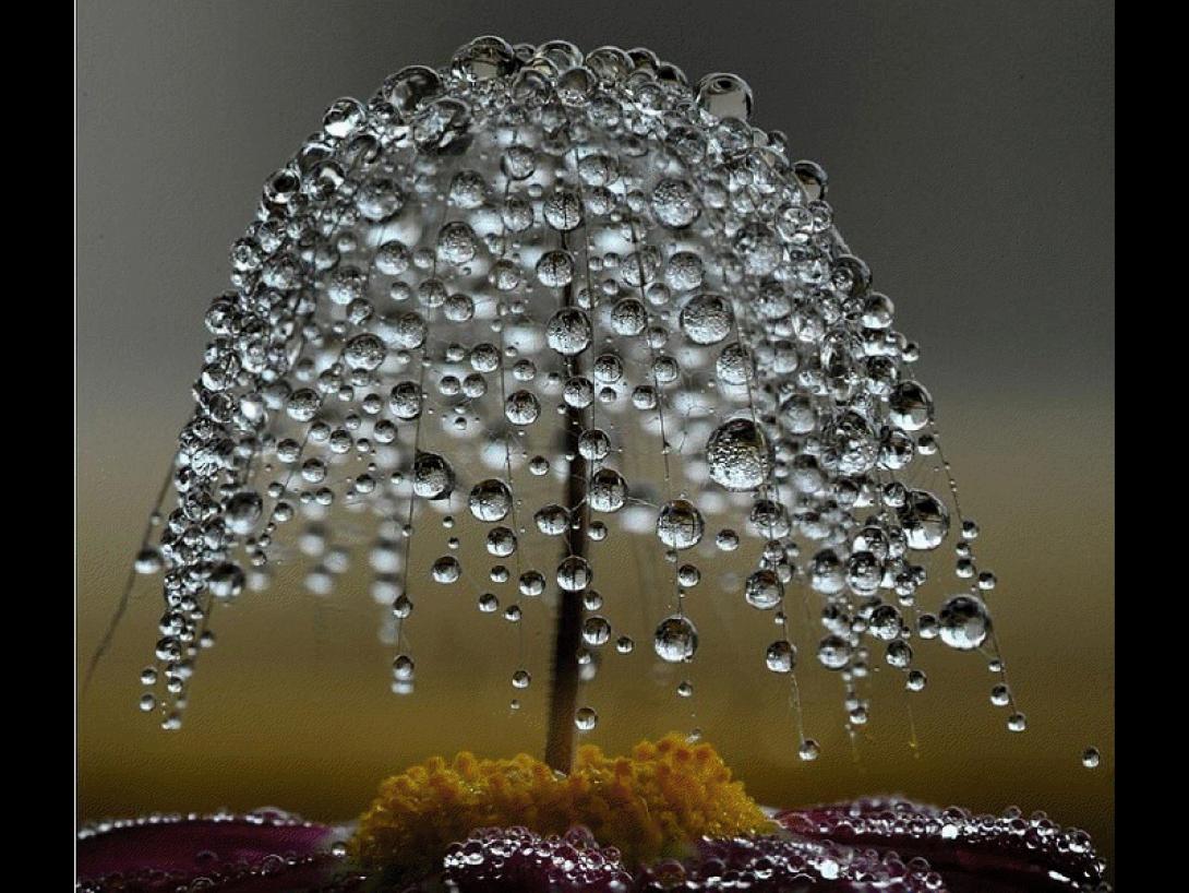 Αγνοώντας τις συνθήκες στις ζωές των .. άλλων !!!