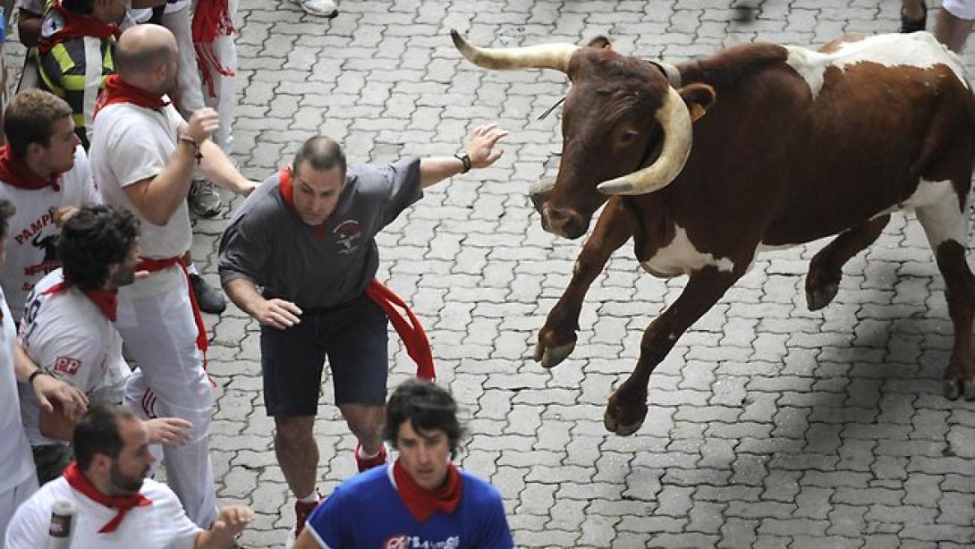 491324-110708-san-fermin-bull.jpg