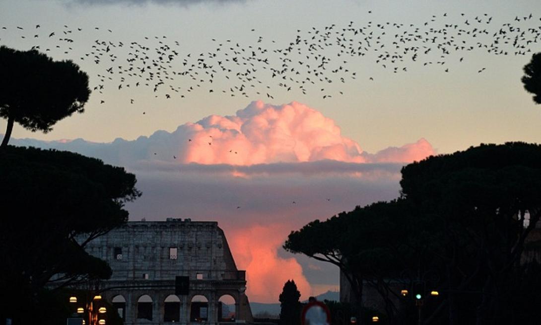 παπας φραγκίσκος