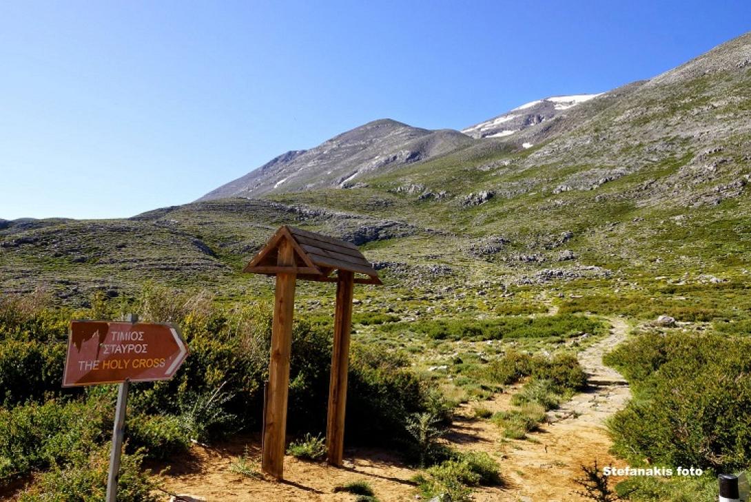 καταφύγιο λάκκου μυγερού