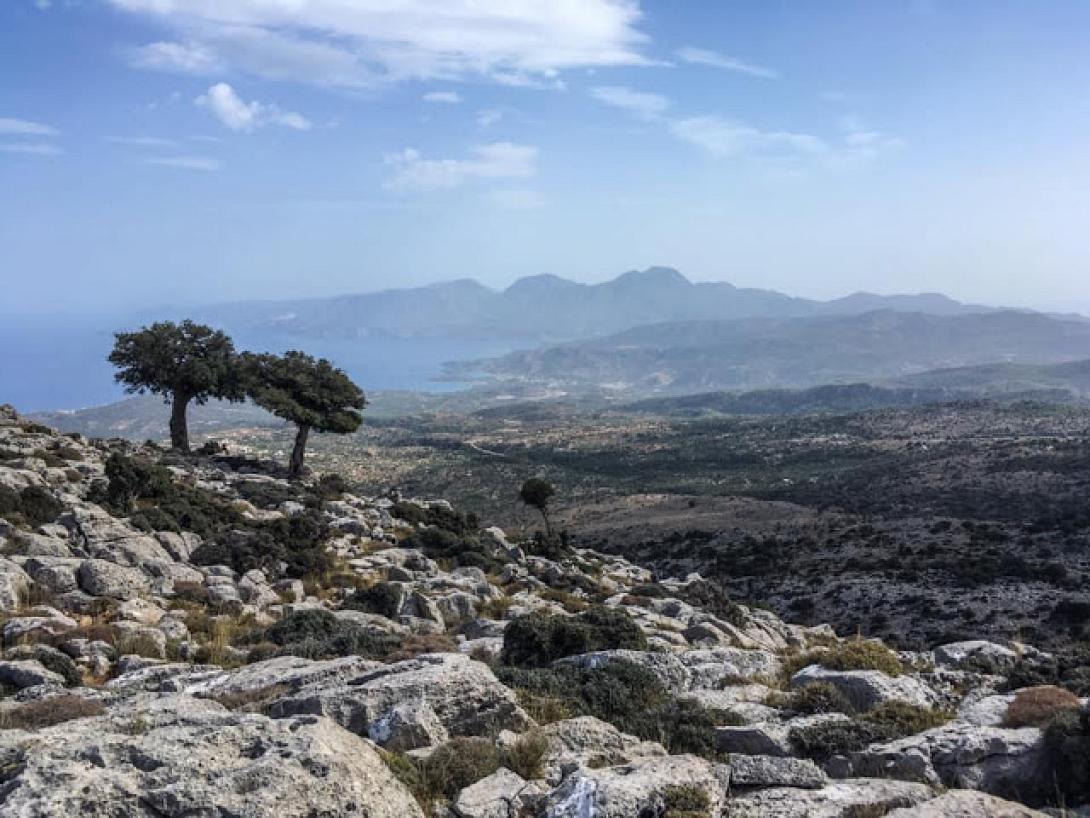 Θεολογος Κριτσα