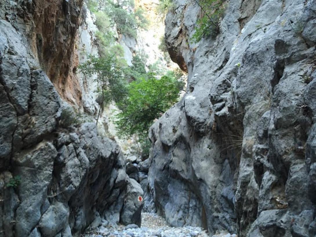 Πεζοπορία στο φαράγγι της Κριτσάς