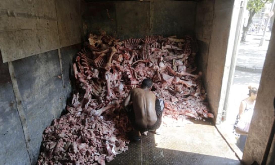  Άνθρωποι αναζητούν τροφή ανάμεσα σε σφάγια ζώων