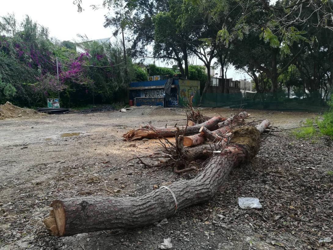 παρκο γεωργιαδη.jpg