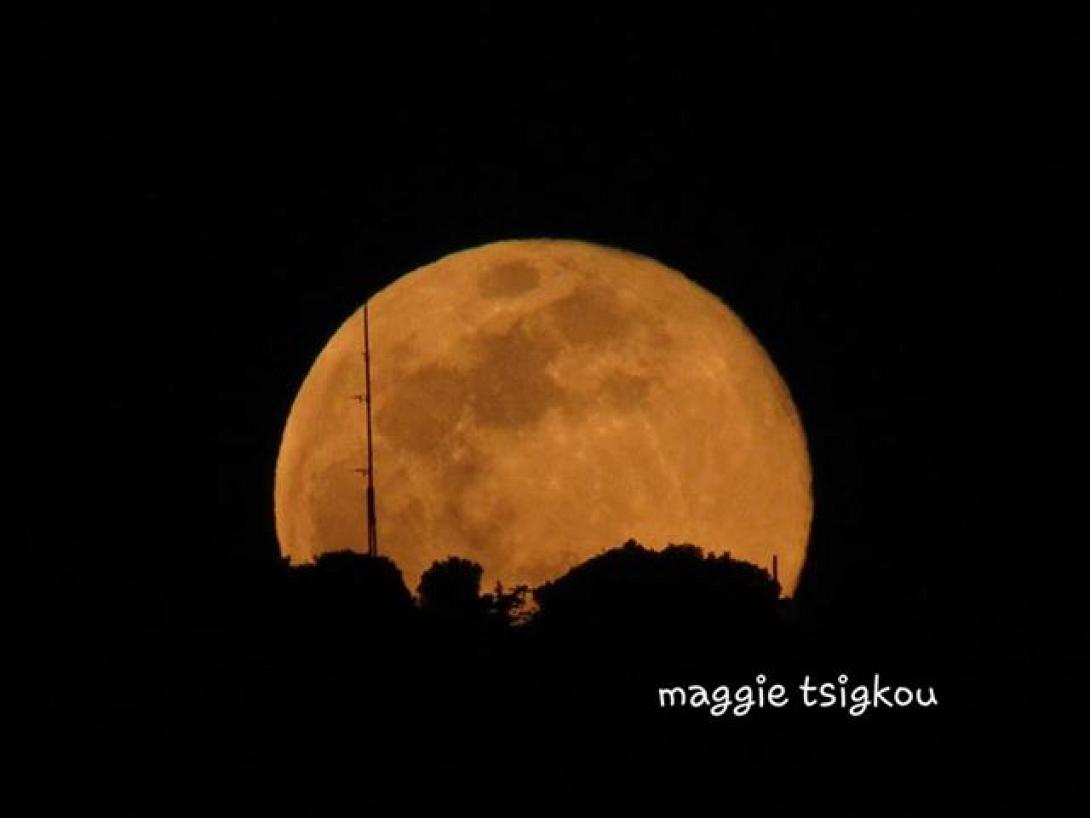 ροζ πανσεληνος.jpg