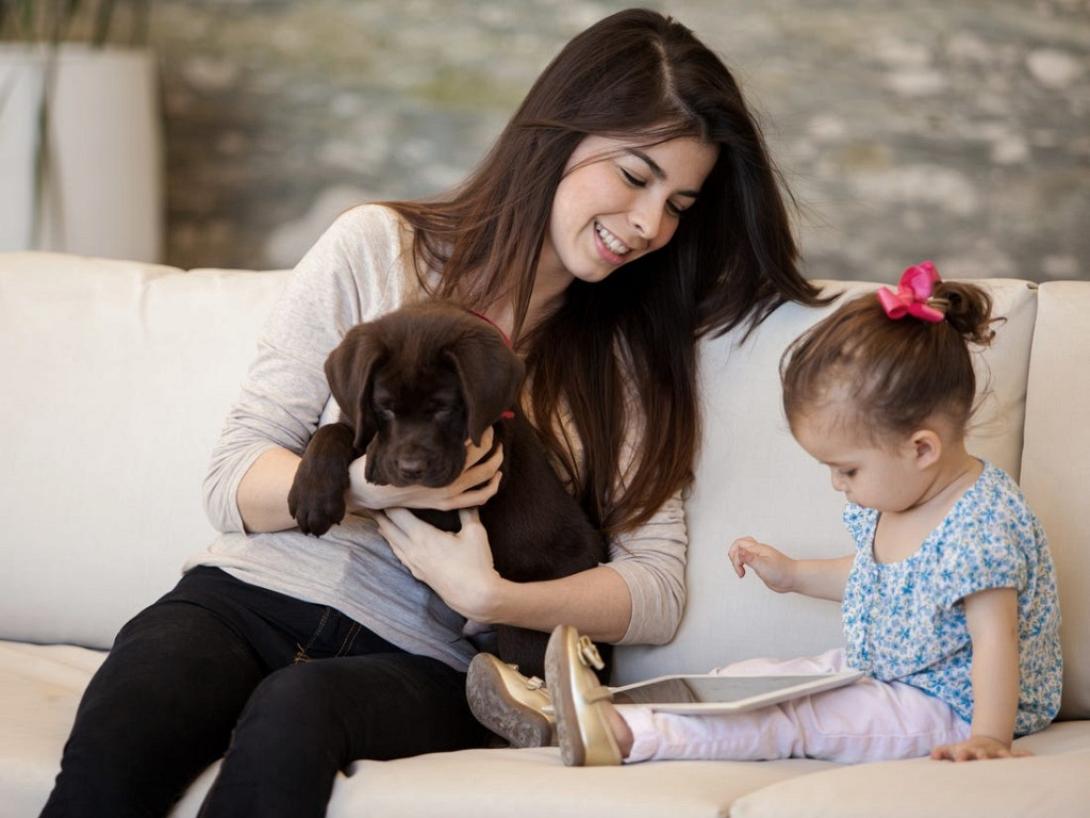 σκύλος-παιδί