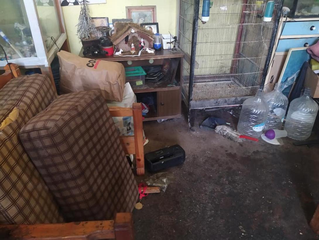 Η Κίτρινη Αποστολή απευθύνει έκκληση σε όποιον μπορεί και θέλει να βοηθήσει