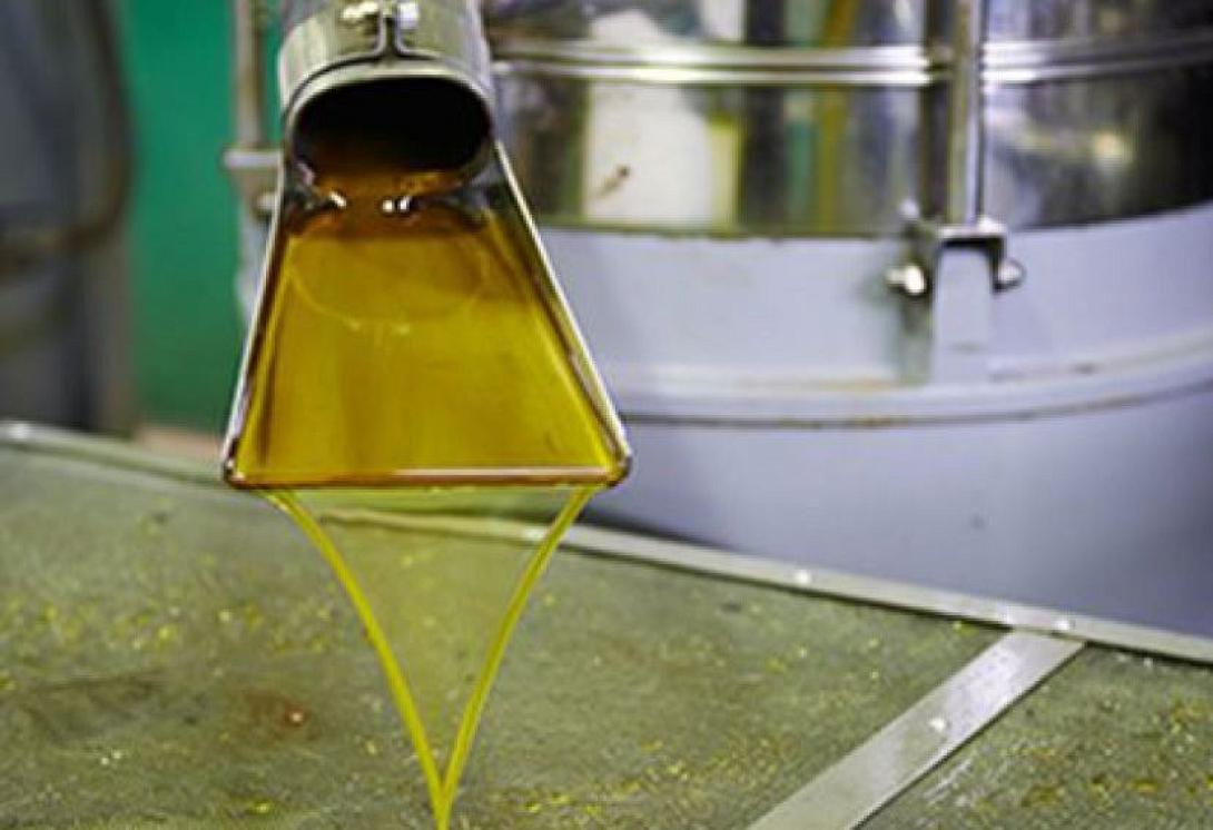 ελαιουργείο καλη.jpg